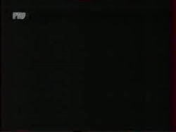 320x240