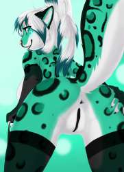 852x1172