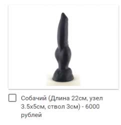 303x313