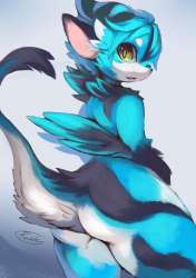 600x848