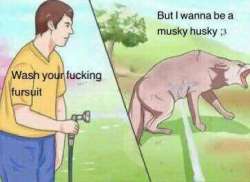 363x265