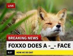 446x347
