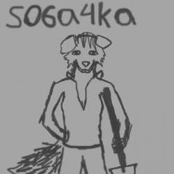 800x800