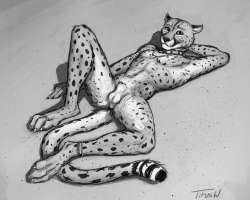1078x866
