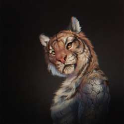 800x800