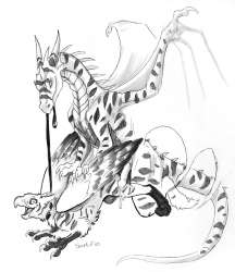 885x1024