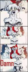 510x1277