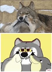 320x440