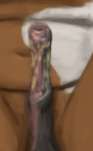 93x151