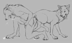 774x466