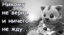 1280x720