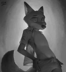 1097x1200