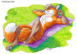 962x680