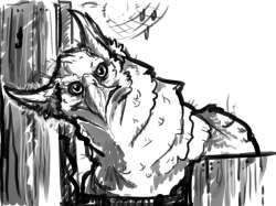 825x620