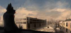 1000x464
