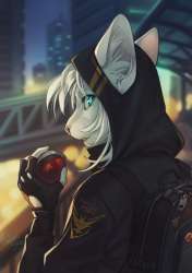 905x1280