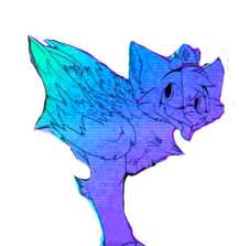 217x223