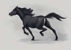 1280x902
