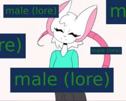 417x334