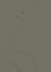 1280x1807