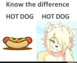 460x379
