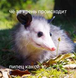 1054x1080