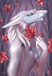 884x1280