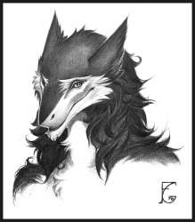 800x913