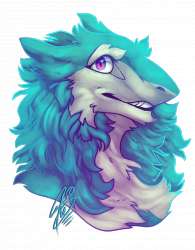 1000x1280