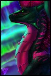 1242x1842