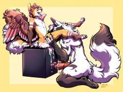 1072x805