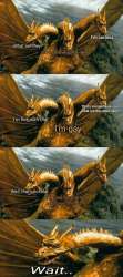 482x1080