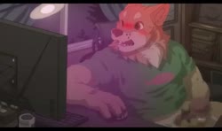 592x352