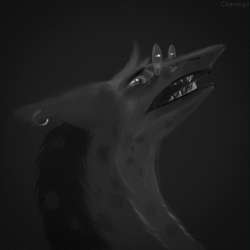 1200x1200