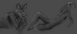 1606x718