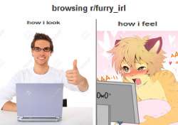 1024x722