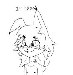 428x440