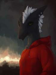 1920x2560