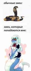 430x958