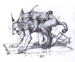 1436x1200