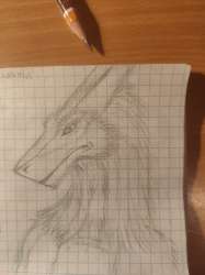 3000x4000