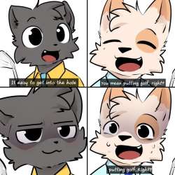 736x736
