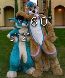 637x767