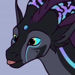 320x320