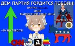 604x377