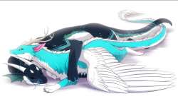 1113x609