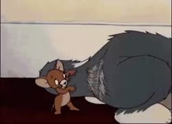 390x282