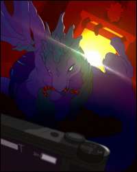 866x1080