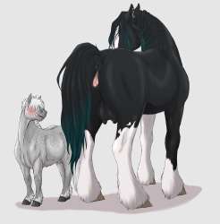 1905x1934