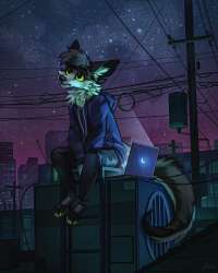 1600x2000